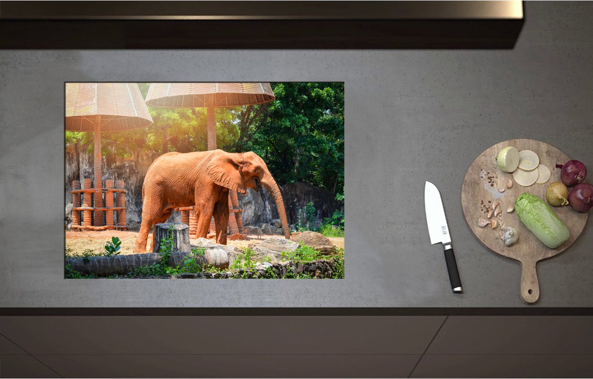 Inductieplaat Beschermer - Aziatische Lachende Olifant tussen de Planten - 71x50 cm - 2 mm Dik - Inductie Beschermer - Bescherming Inductiekookplaat - Kookplaat Beschermer van Wit Vinyl