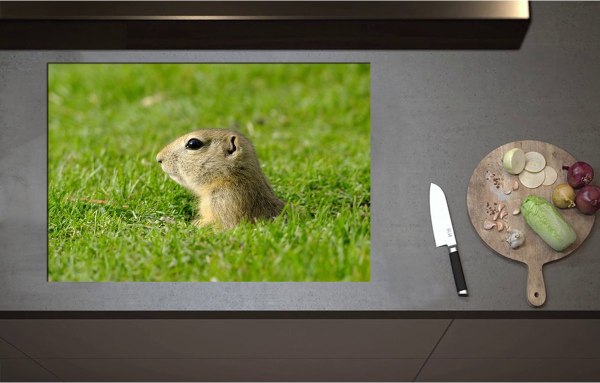 Inductieplaat Beschermer - Baby Goffer Komt uit de Grond - 80x55 cm - 2 mm Dik - Inductie Beschermer - Bescherming Inductiekookplaat - Kookplaat Beschermer van Wit Vinyl