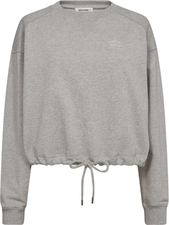 Trui Grijs Cleancc sweaters grijs