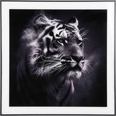 Present Time Wanddecoratie Tiger - Zwart - 2x50x50cm - Modern