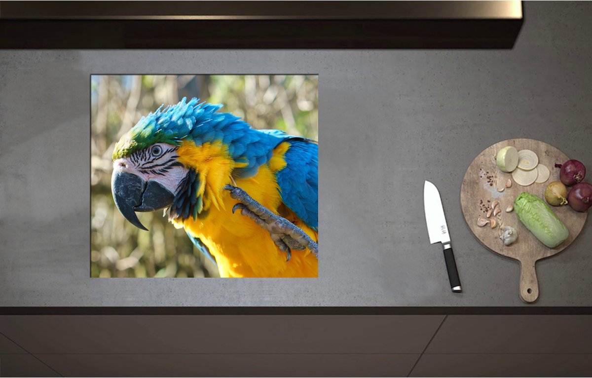 Inductieplaat Beschermer - Blauw met Gele Ara Papegaai Opzijkijkend - 58x52 cm - 2 mm Dik - Inductie Beschermer - Bescherming Inductiekookplaat - Kookplaat Beschermer van Wit Vinyl