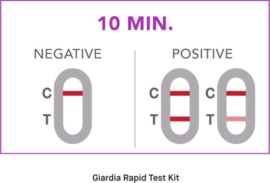 Giardia