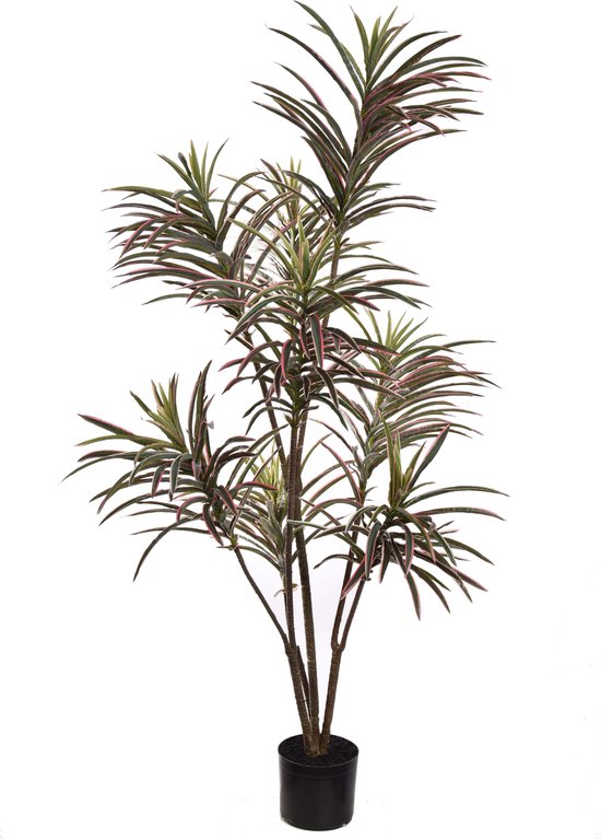 Pure - Kunstplant 150cm - Kunstplant voor binnen - Dracena Marginata
