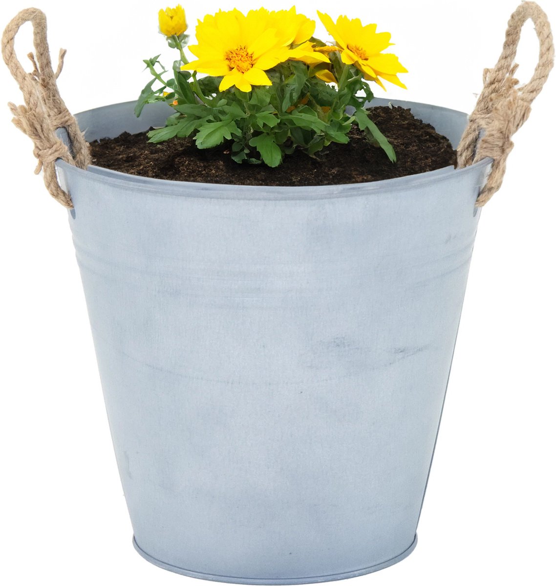 Goedkoopste Mega Collections Emmer/plantenpot/bloempot Old Rope - zink - zilver - D22 X H20 cm