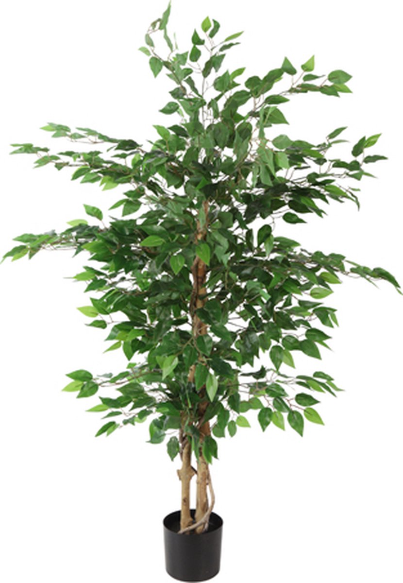 Countryfield Ficus benjamina kunstplant | Ficus boom kunstplant | Binnenplant kunst | Artificial Plant | Countryfield kunstplanten | Groene kunstplant