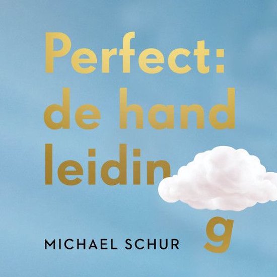 Perfect: de handleiding - cover