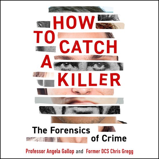 How to Catch a Killer - cover