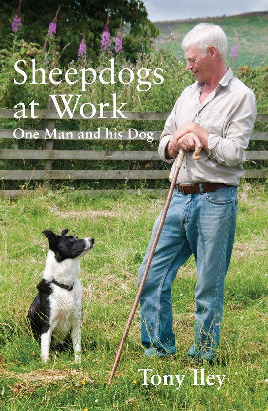 Sheepdogs at Work - cover