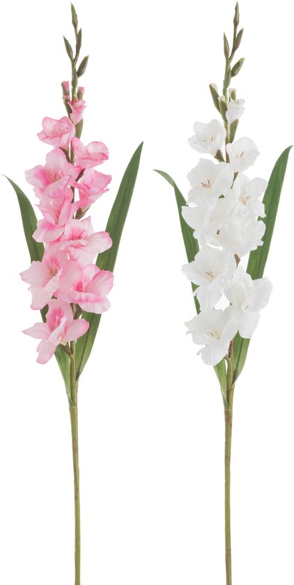 J-Line bloem Gladiool Fresh Touch - kunststof - wit/roze - 2 stuks