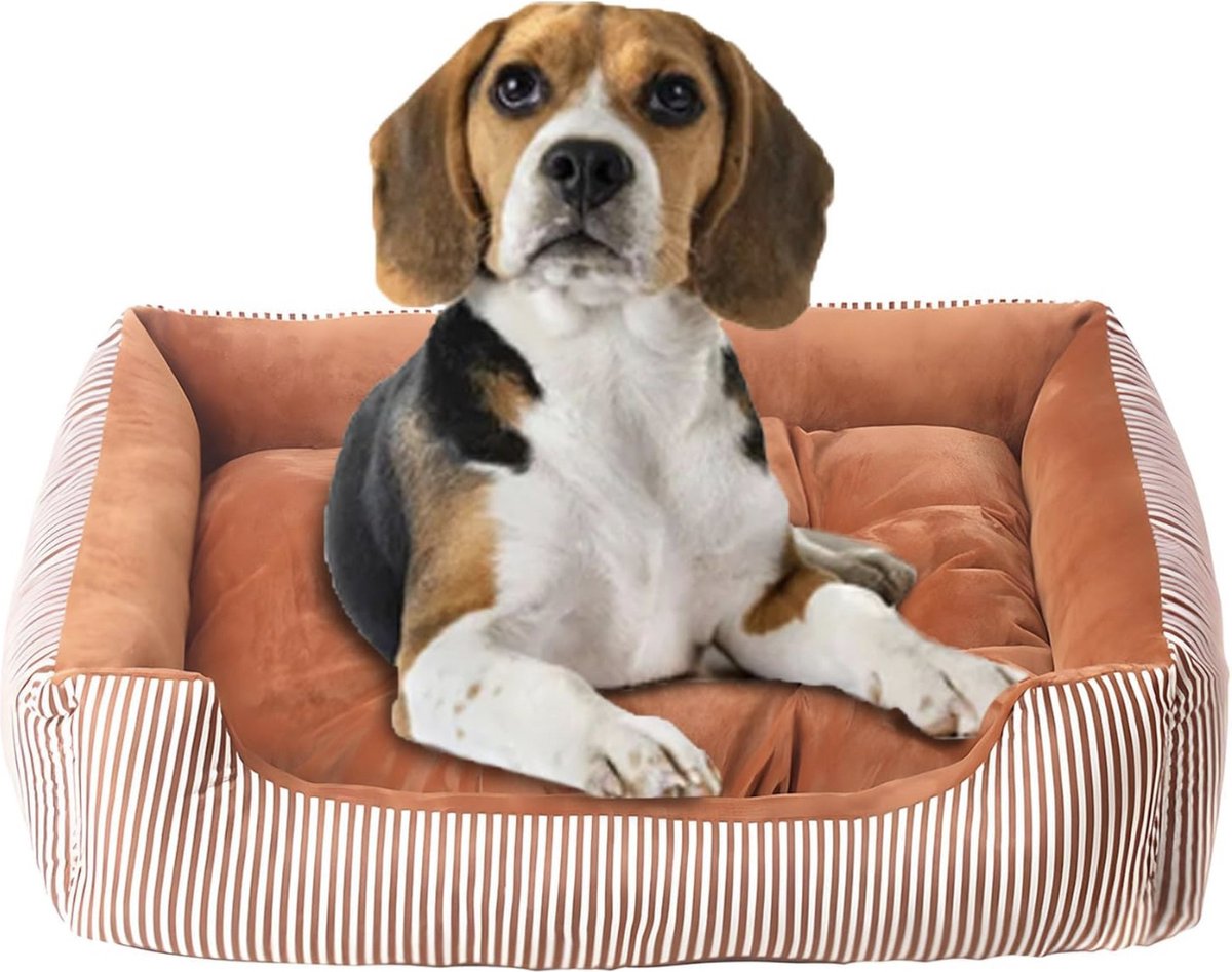 Hondenbed van middelgrote honden, antislip, wasbaar, orthopedisch hondenbed, verhoogde randen, ergonomische hondenbank met omkeerbaar kussen voor kleine tot middelgrote honden (70 x 52 cm, lichtbruin)