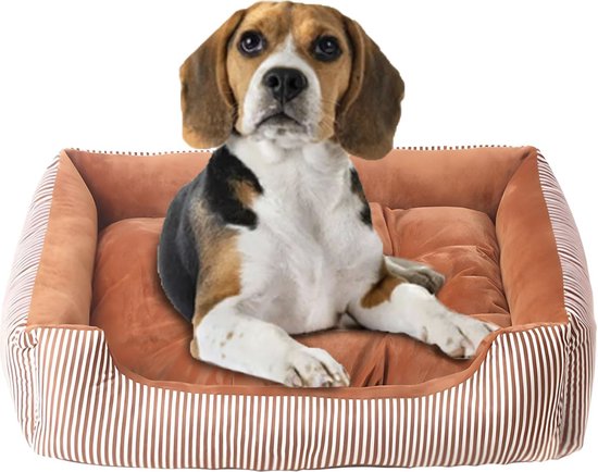 Orthopedische hondensofa, hondenbed, slaapplaats, suède-look, Ortopedico met visco-schuim matras (100 cm x 75 cm, Amber