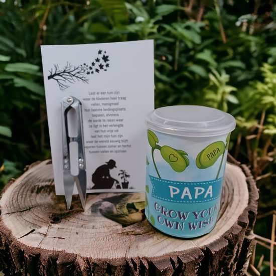 9x originele Vaderdag plant cadeaus 7 Wensbonen waarin 'Papa' staat gegraveerd als ze omhoog groeien