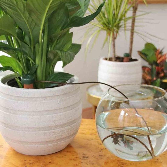 Is een waterbol of waterdruppelaar echt handig voor je planten? - Mama Botanica