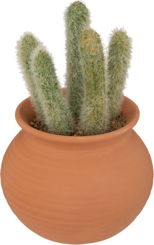 Atmosphera Plante Artificielle Alicante - Cactus avec pot - Ø17x8cm - Vert