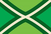 Achterhoeksevlag 150x225 - Groen