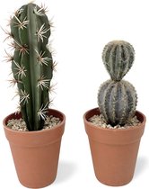 Kunst Cactus In Pot 2 st. - 26.5 cm