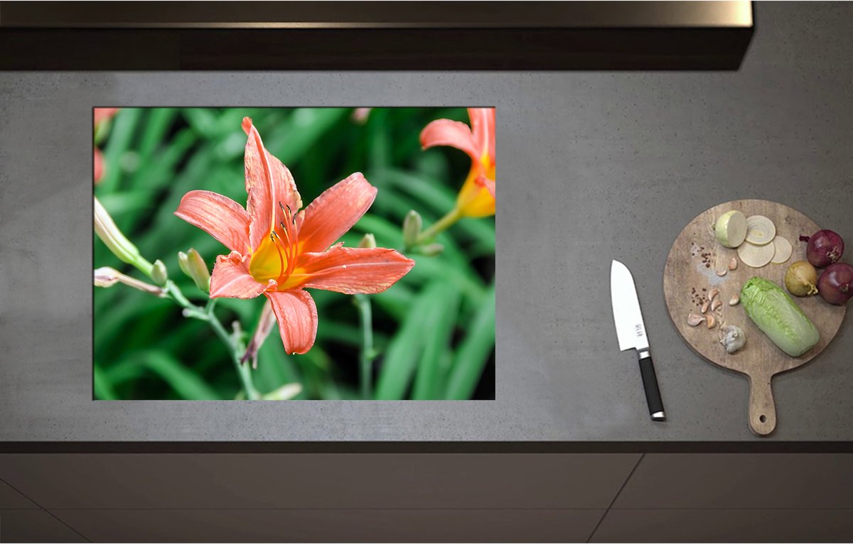 Inductieplaat Beschermer - Bloemenveld van Oranje Lelies - 71x52 cm - 2 mm Dik - Inductie Beschermer - Bescherming Inductiekookplaat - Kookplaat Beschermer van Wit Vinyl