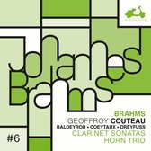 Geoffroy Couteau, Nicolas Baldeyrou - Brahms: Clarinet Sonatas, Horn Trio (CD)