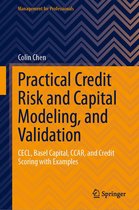 Management for Professionals - Practical Credit Risk and Capital Modeling, and Validation