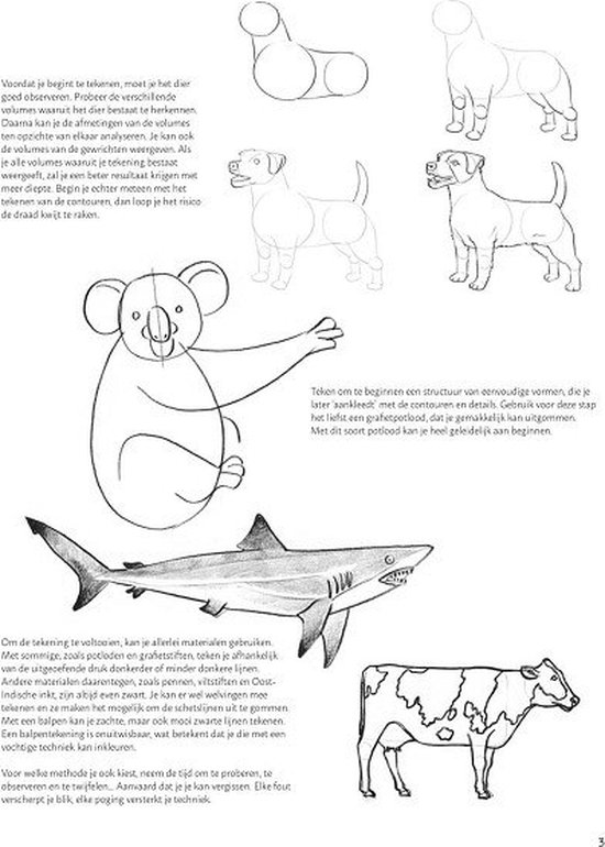 Stap voor stap dieren leren tekenen - Lise Herzog