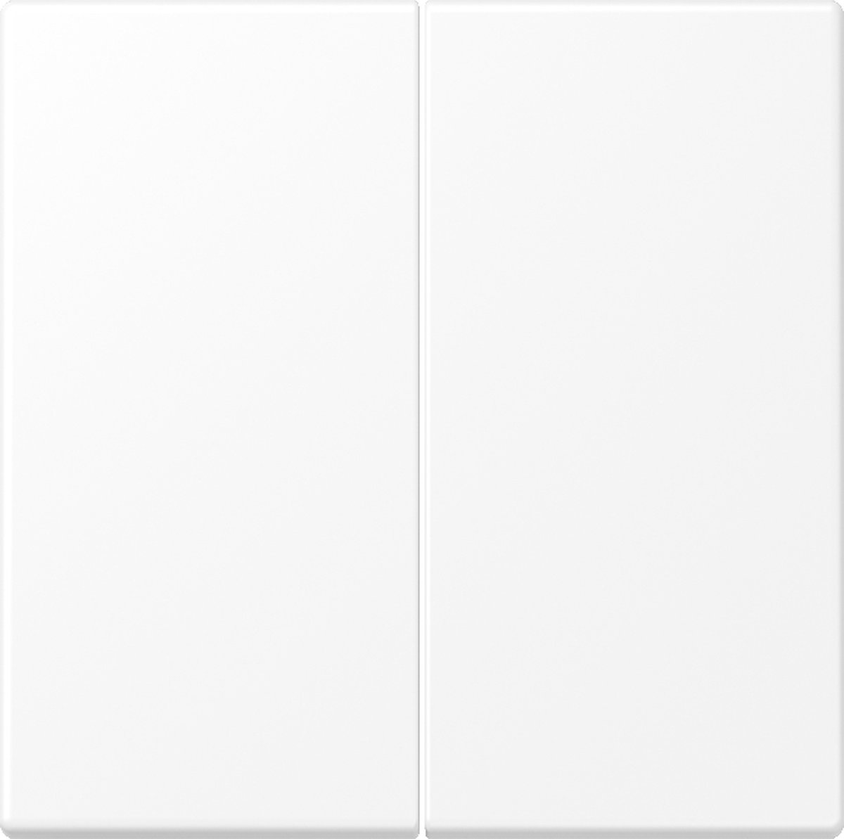 Jung LS-bereik Bedieningselement/Centrale Plaat Schakelmateriaal - LS995WWM - E2VZX