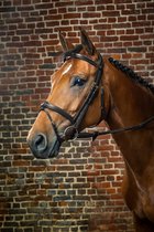 Dy on Flash Noseband Bridle - D Collection - Black - Maat Full