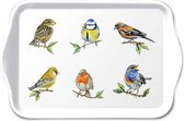 Dienblaadje - Bird Species - 13 x 21 cm