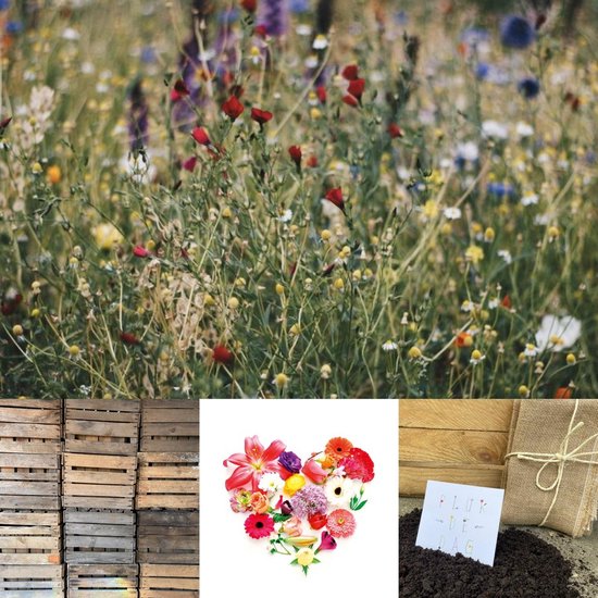 BLOEMENTUINTJE | LiefsLabel | Cadeaupakket | Cadeau | Bruiloft | Verjaardag | Pensioen | Juf / Meester | Duurzaam | Tuin | Moestuin | Bijenbloemen | Bloemzaadjes | Groen | Geschenk | Origineel Kerstpakket