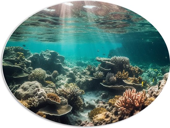 PVC Schuimplaat Ovaal - Onderwater - Zee - Water - Koraal - Dieren - Kleuren - Zand - 80x60 cm Foto op Ovaal (Met Ophangsysteem)