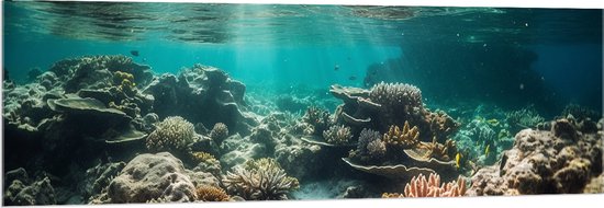 Acrylglas - Onderwater - Zee - Water - Koraal - Dieren - Kleuren - Zand - 150x50 cm Foto op Acrylglas (Met Ophangsysteem)