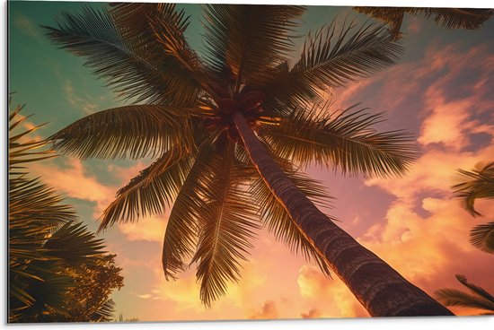 Dibond - Onderaanzicht - Palmbomen - Kleuren - 75x50 cm Foto op Aluminium (Wanddecoratie van metaal)