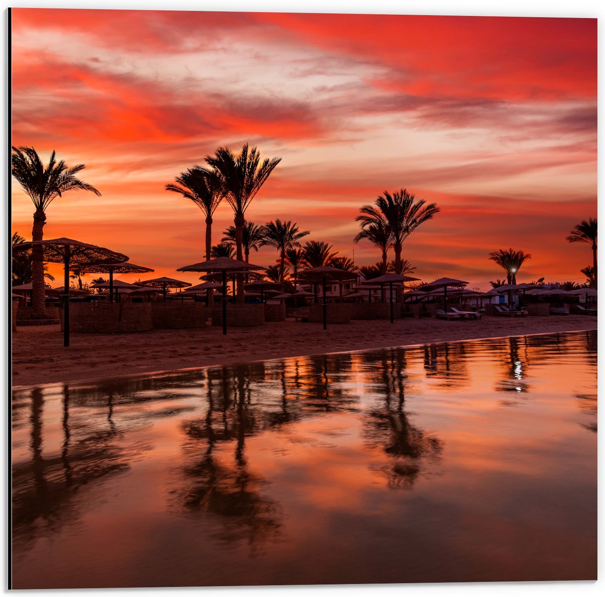 Dibond - Strand - Zee - Zonsondergang - Parasols - Palmbomen - 50x50 cm Foto op Aluminium