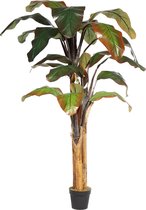 Kunst Rode Bananenboom Maurelli | 200cm - Namaak bananenboom - Kunstplanten voor binnen - Bananen kunstboom