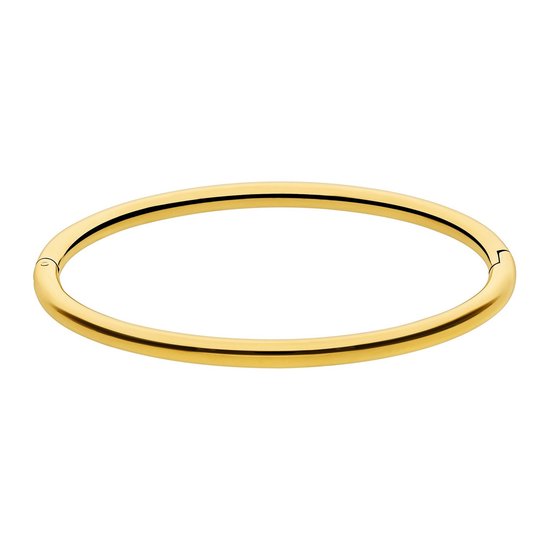 Lucardi Dames Stalen goldplated bangle - Armband - Staal - Goud - 58 dm