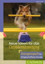 Hundesport - Neue Ideen für das Cavalettitraining