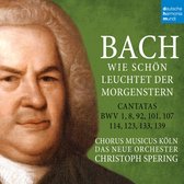Christoph Spering - Bach: Wie schön leuchtet der Morgenstern - BWV 1,8,92,101,107,114,123,133,139 (CD)