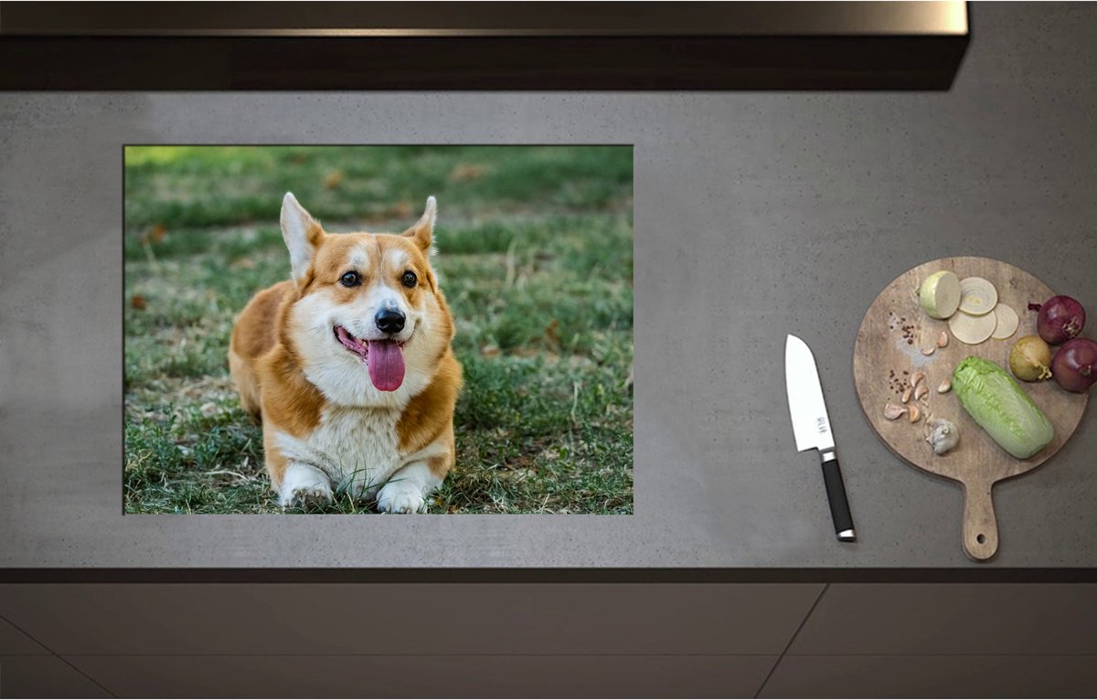 Inductieplaat Beschermer - Blije Corgi Hond met Uitstekende Tong in het Grasveld - 70x51 cm - 2 mm Dik - Inductie Beschermer - Bescherming Inductiekookplaat - Kookplaat Beschermer van Wit Vinyl