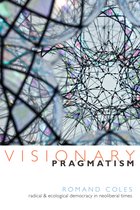 Visionary Pragmatism