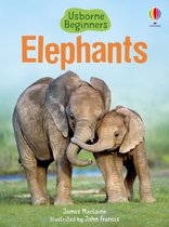 Beginners Elephants