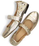 BLASZ 17600118 Ballerina's Dames - Goud - Maat 40