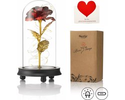 Luxe Roos in Glas met LED – Gouden Roos in Glazen Stolp – Moederdag Cadeau - Valentijn - Bekend van Beauty and the Beast Rose - Cadeau voor vriendin moeder haar - Donkere Voet - Qwality Luxe Roos in Glas met LED – Gouden Roos in Glazen Stolp – Moederdag Cadeau - Valentijn - Bekend van Beauty and the Beast Rose - Cadeau voor vriendin moeder haar - Donkere Voet - Qwality