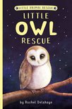 Little Animal Rescue- Little Owl Rescue