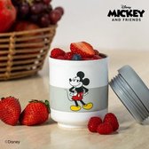 Tupperware ISO Go Food Mickey
