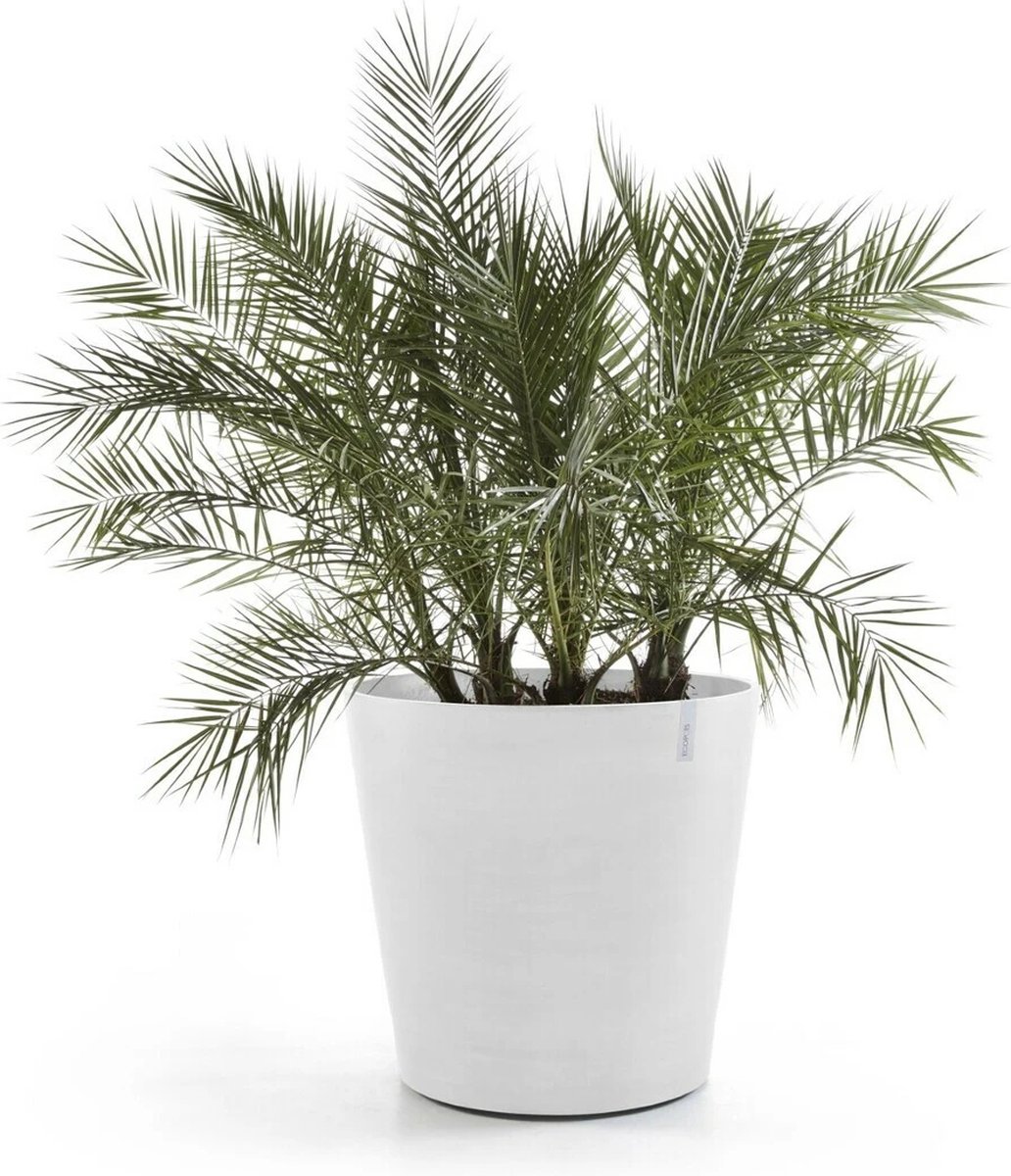 Ecopots Pot de fleurs amsterdam wheels d80cm blanc pur