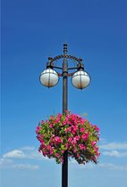 Lanterna - Jardinière sur lampadaire avec support de poteau - support de poteau Ø 8cm