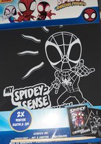Spidey Amazing Friends - scratch kras kunst - 2x poster 26x19,5 cm - marvel - Disney junior - spiderman