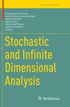 Trends in Mathematics- Stochastic and Infinite Dimensional Analysis