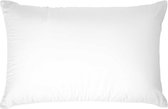 Lanaform Waterkussen - 50x70 Cm - Wit