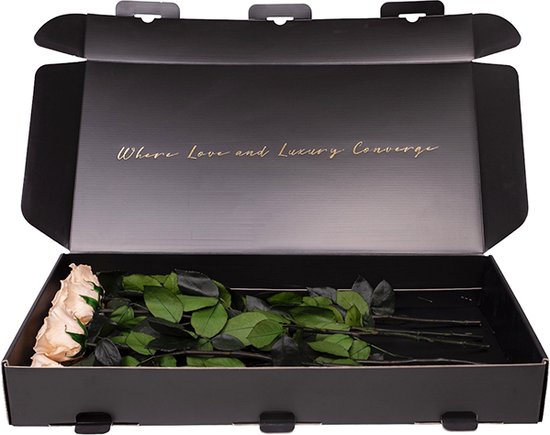 Mia Milano Infinity Rozen 5 jaar houdbaar I Roosendoos met echte rozen I Lang houdbare bloemen in doos I Geconserveerde rozen met geschenkverpakking I Handgemaakt in Duitsland (M, Rood Mia Milano Infinity Rozen 5 jaar houdbaar I Roosendoos met echte rozen I Lang houdbare bloemen in doos I Geconserveerde rozen met geschenkverpakking I Handgemaakt in Duitsland (M, Rood