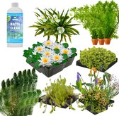vdvelde.com - Reiger Verjagen Vijver Pakket - XXL - Voor 12.500 - 15.000 L - Drijvende waterplanten + extra's - Plaatsing: Los in de vijver
